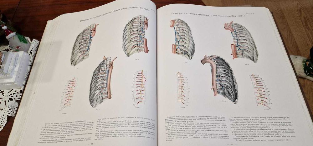 Медицински АТЛАС от 1949 г.