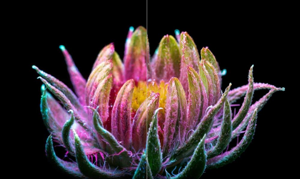 Предлагам Фотошоп услуги