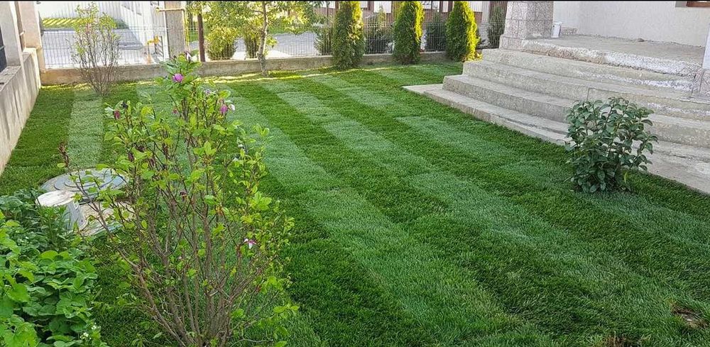 Amenajare Rapidă cu Gazon Natural și Sisteme Moderne