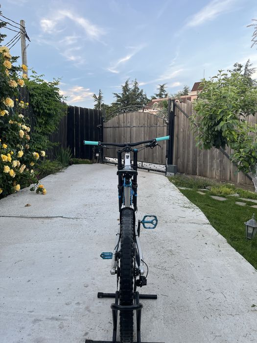 Canyon Downhill TORQUE