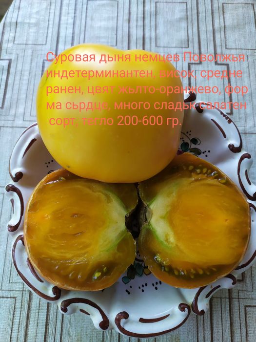 55 cорта семена домати