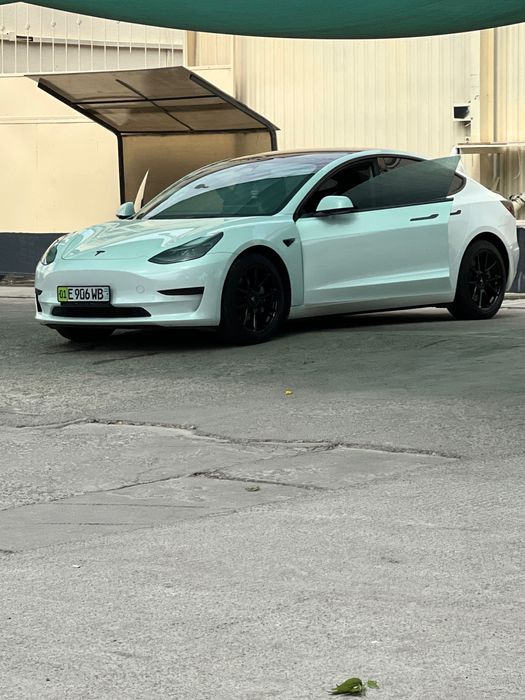 Model 3 standard plus