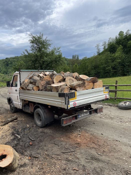 Lemn de foc ,TAIAT SPART !!!