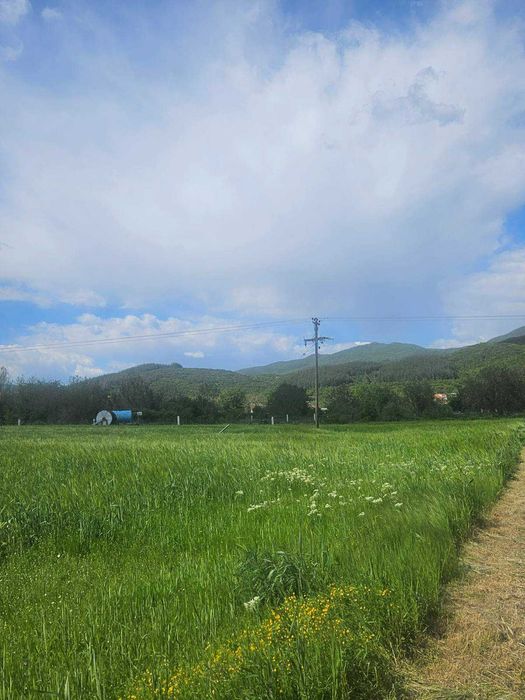 Парцел 1600 кв.м.