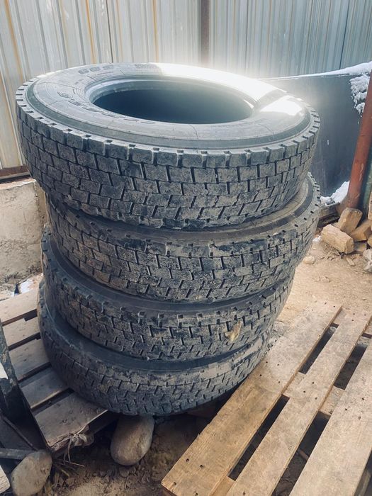 Шина все сезонка