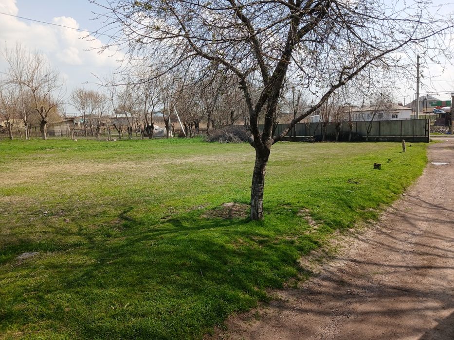 Дом сарыагаш дом