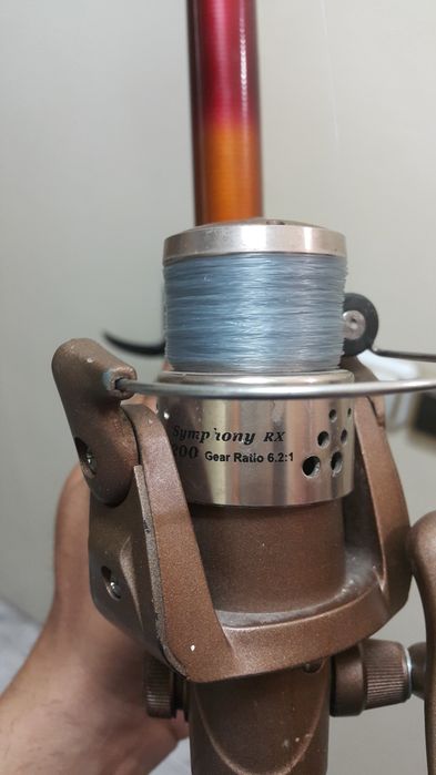 Въдица  болонезе