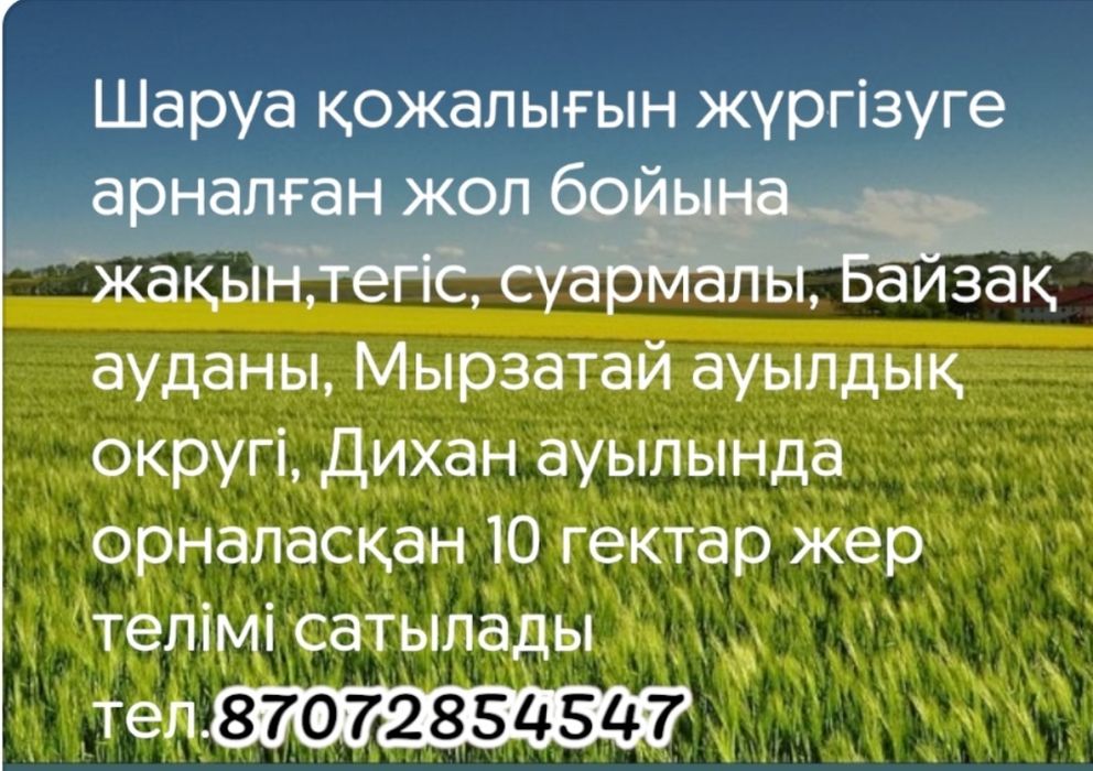 Продам отростки алоэ лечебного