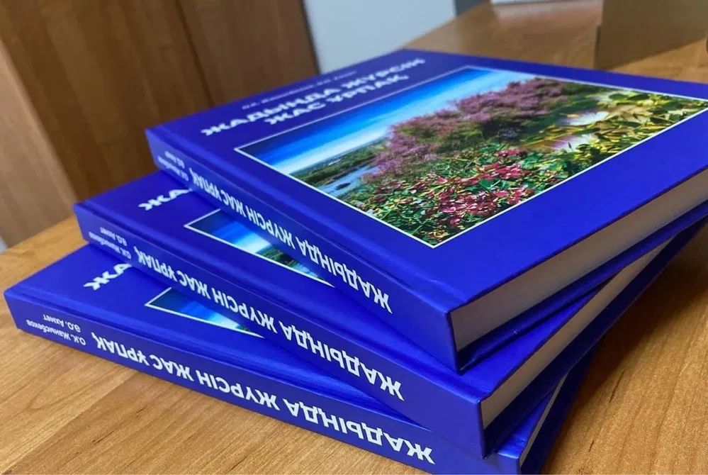 Цветная печать / Раздаточный материал / Презентация / Диплом