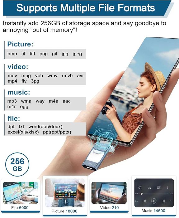 ZARMST USB Stick 256GB,4în1 Flash Drive 3.0,iPhone/Pad/Android/PC/iOS