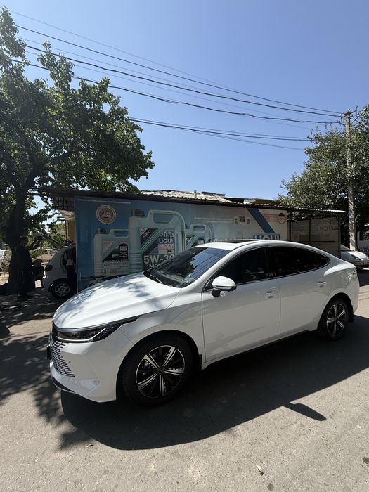 BYD CHAZOR 4-poz flagship batumators