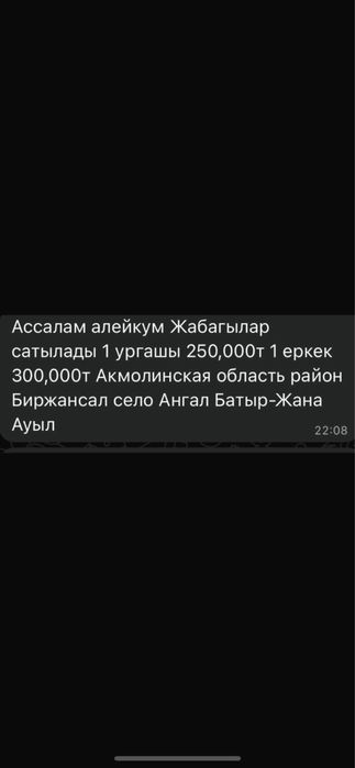 Жабагылар сатылады