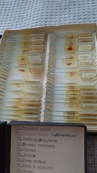 препараты для микроскопа