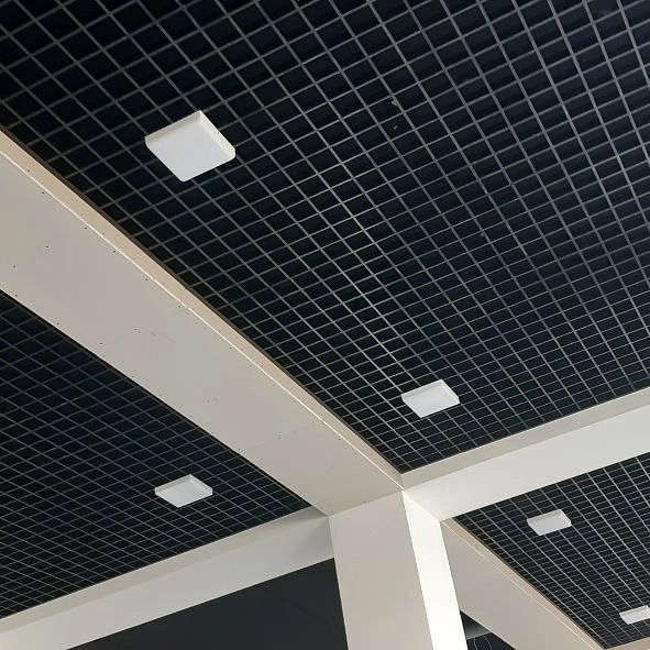 Грильято и армстронг (4)