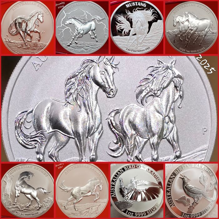 Brumby Bird of Paradise TOATA  monede argint lingou 999