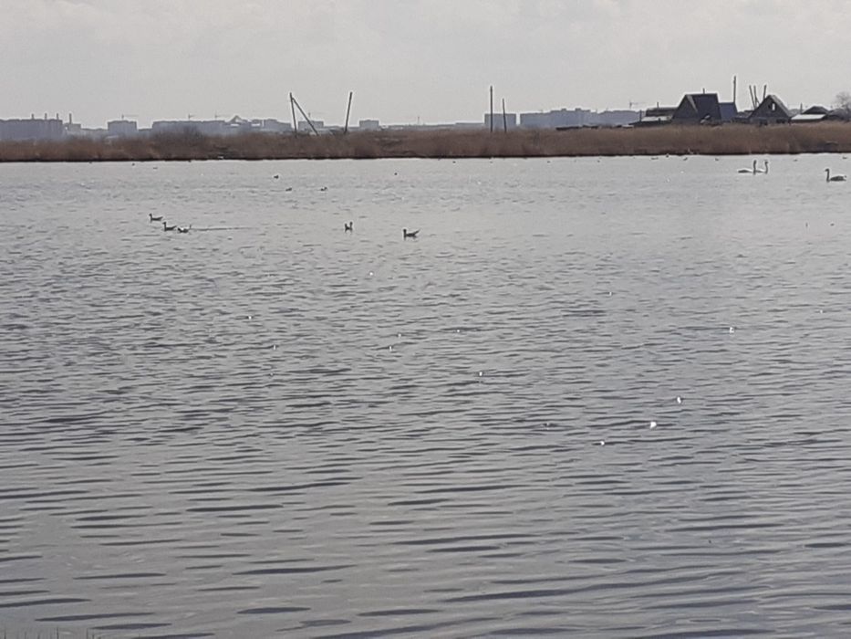 Продам дачный участок по кроснаярской 2 дачная срочно да