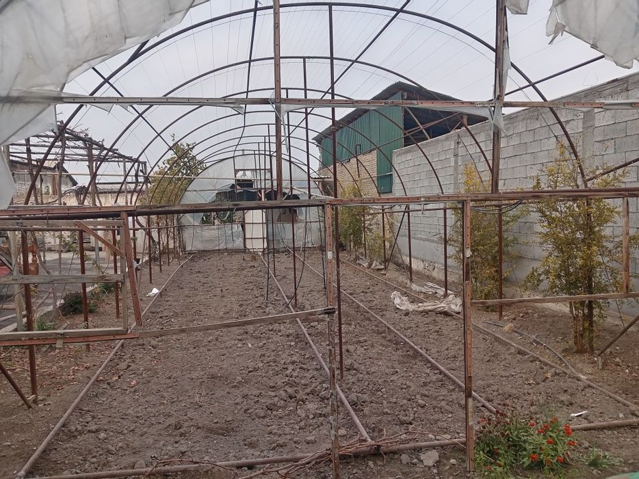 Тайёр типлитса сотилади