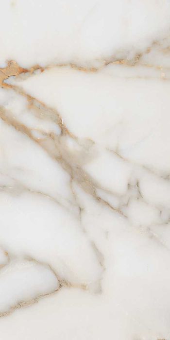 Gresie Alex Calacatta 60x120 Lucioasa