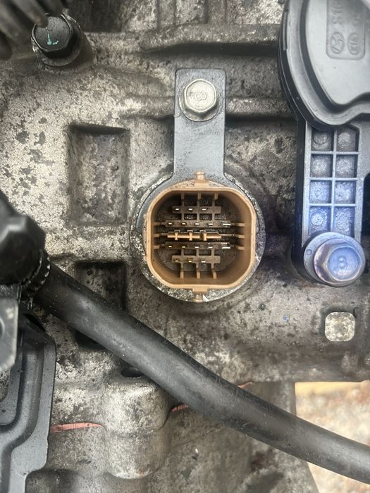 Каровка соната лф