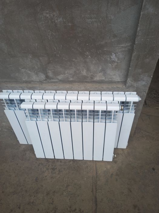 Биометал батаоея прадаю