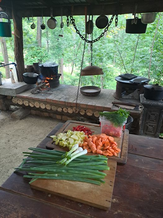 PROPRIETATE DEOSEBITA ,cu teren comasat...60 ha.