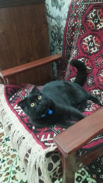 Xorazm viloyat urganch shahar