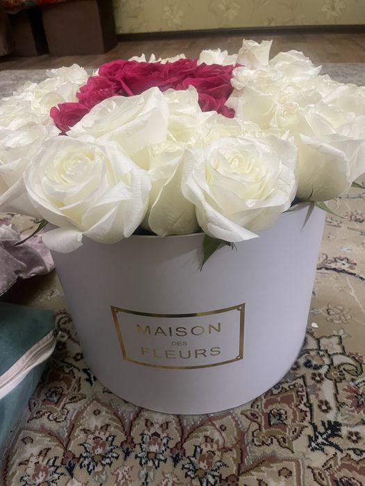 Роза гул 51 шт свежи