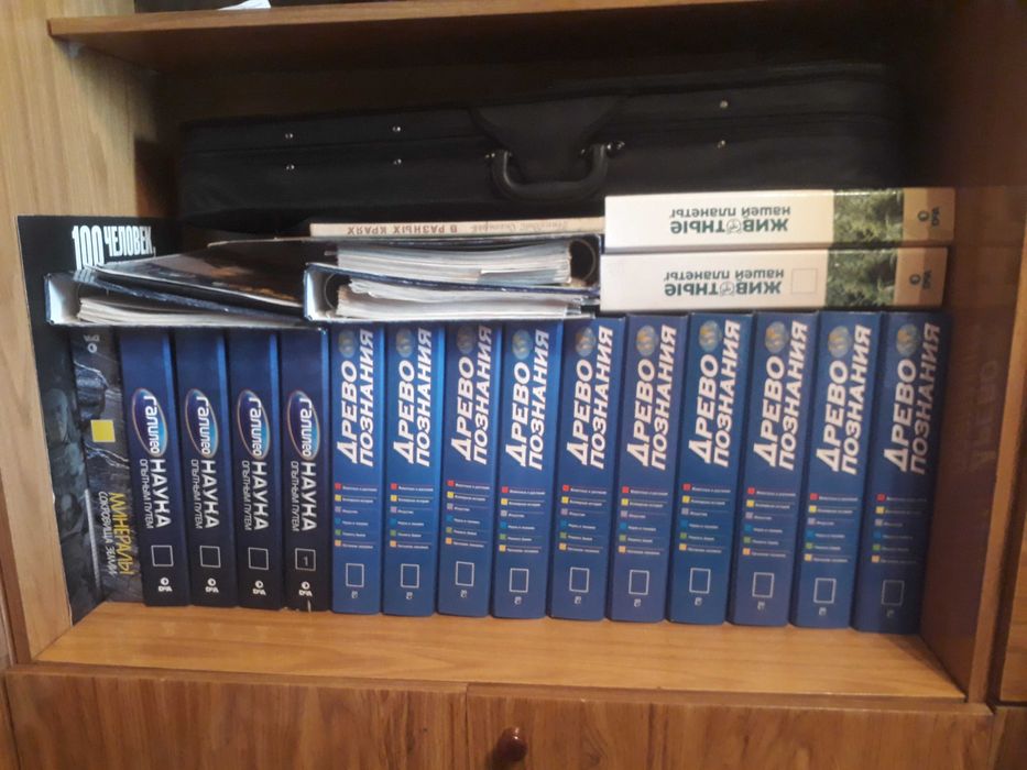 Журналы "Древо познания"