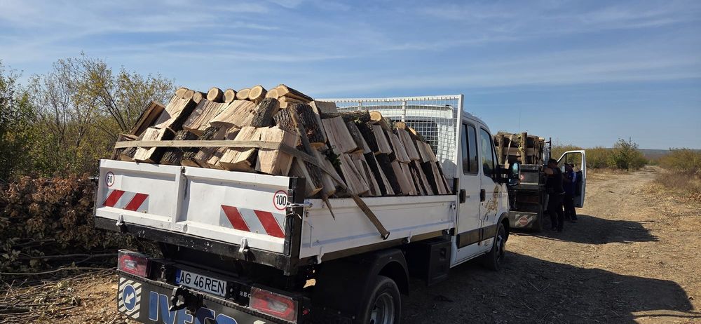 Lemne foc esențe tari fag carpen stejar