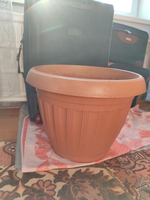 Продам босоножки белые