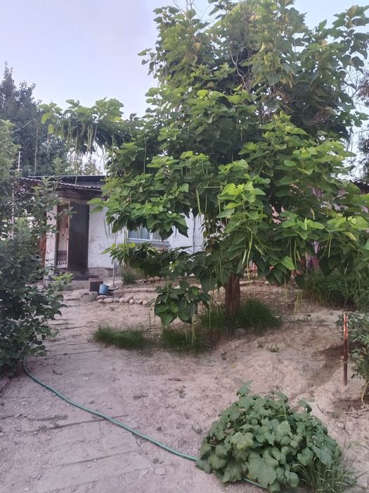 Дача 40,3 м.кв, 19км, с участком.