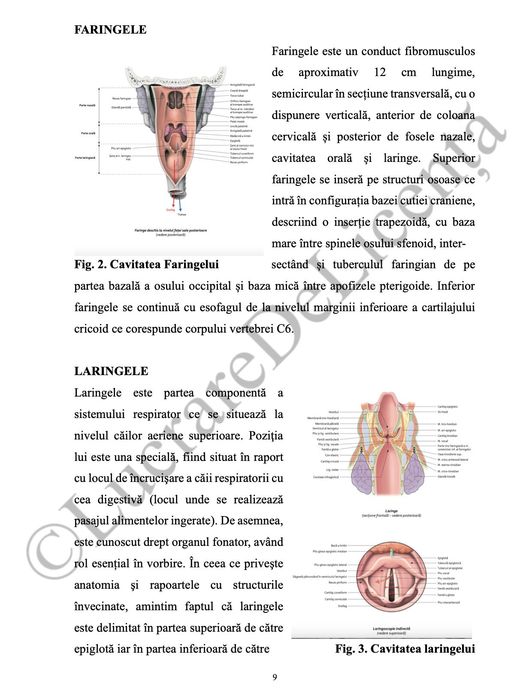 Îngrijirea pacientului cu TBC - PROIECT DE DIPLOMĂ AMG