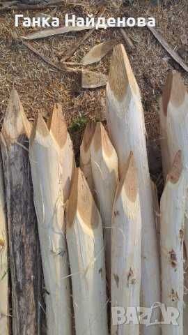 Продавам акациеви колове  с р-р 1.50м, 2м и 2,30м