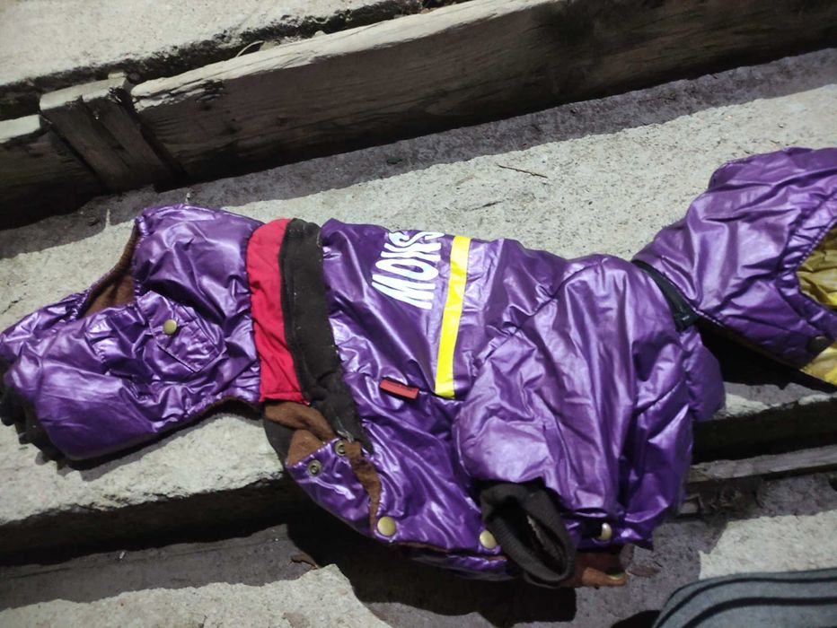 Продам одежду для таксы