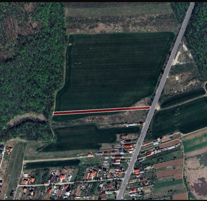 Vand Teren Intravilan Ciolpani cu deschidere la DN1