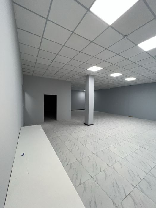 Офис около метро Пушкина 120 квм