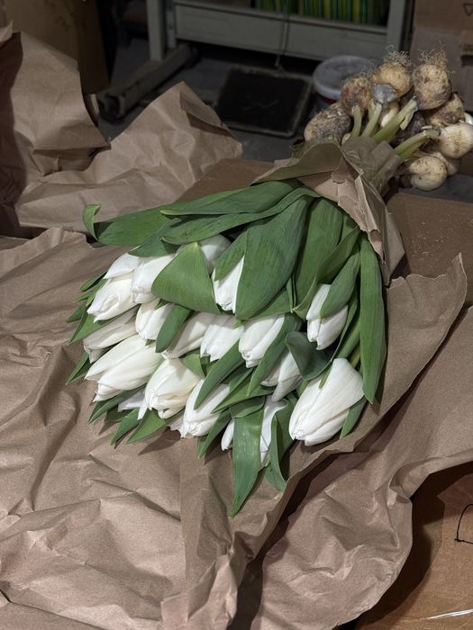 Тюльпаны оптом и в розницу