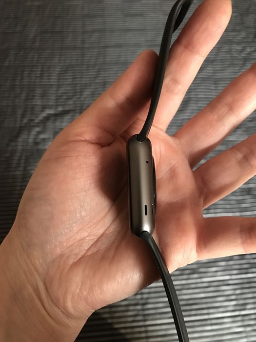 Apple Watch 1-го поколения