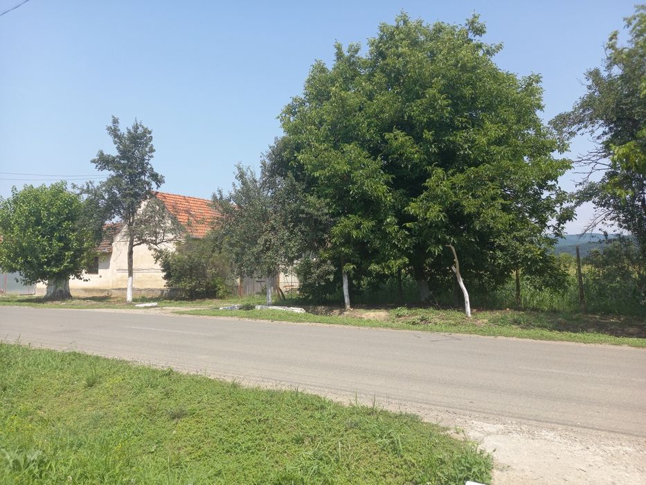 Oportunitate,proprietar vând 2 case la tara cu 2 terenuri  -6000mp