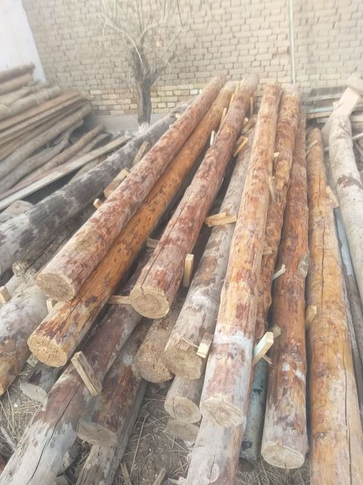 Огочло сотилади 4 метр диаметр 18-20 см 25 доно бор 250 Минг сумдон