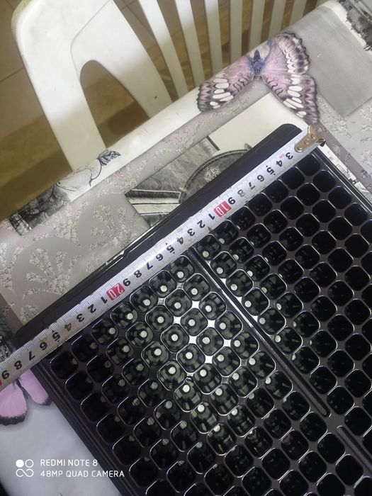 Корейские Кассеты для рассады