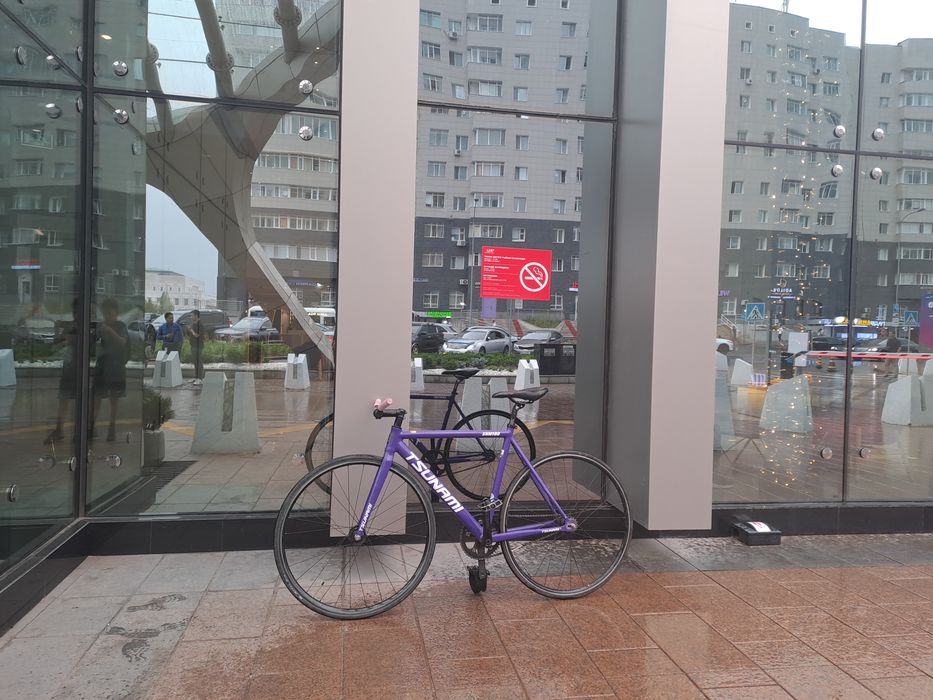 TSUNAMI SNM 100 fixed gear