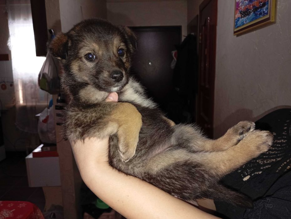 Забери меня, Добрый человек