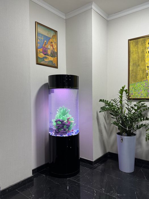 Профессиональная чистка и обслуживание аквариумов