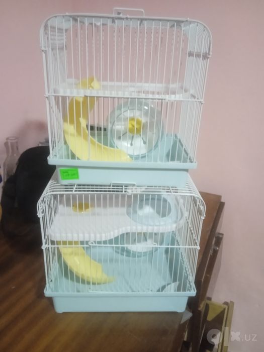 Qushlar uchun qafas sotiladi