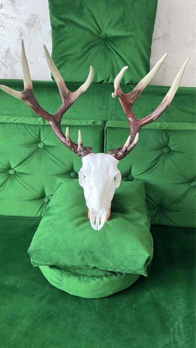 Trofeu de cerb -replică 3D