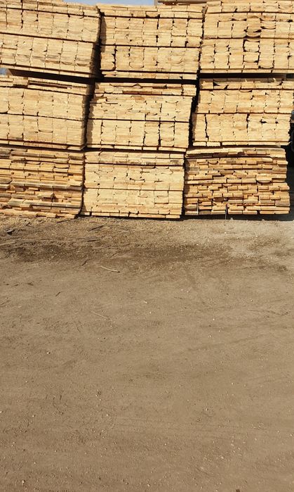 Cherestea rășinoasa