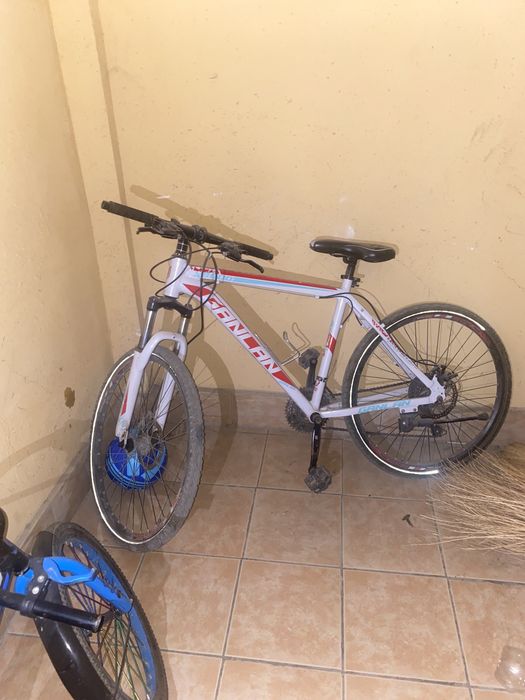 velosiped 850ming kelshamz