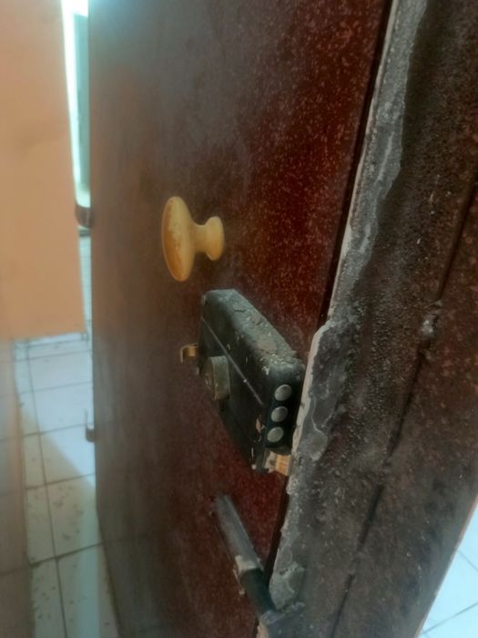 Металлическая дверь