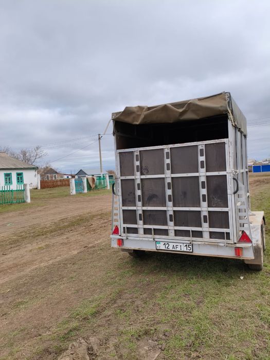 Продам прицеп коневозка с документом